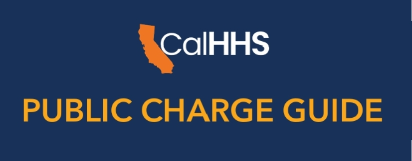Public Charge Guide 3.jpg